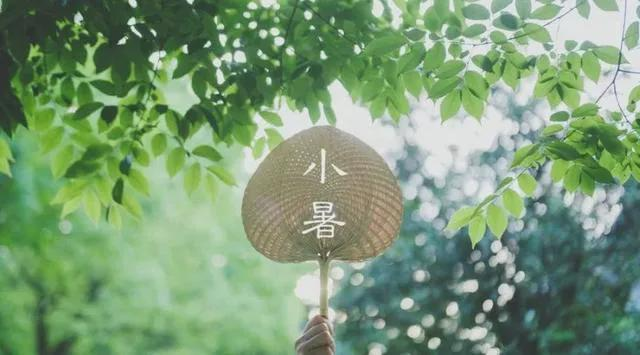 【每周一膳】小暑时节，海带绿豆排骨汤，补肾养血，滋阴润燥，解毒消暑