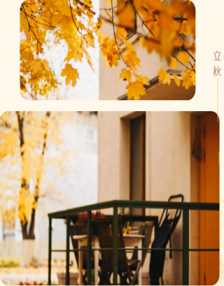 立秋要‘打虎’，还要会‘养肺’